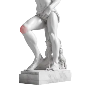 Knee Surgery Dr. Farivar Bagheri