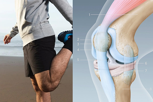 meniscus tear recovery